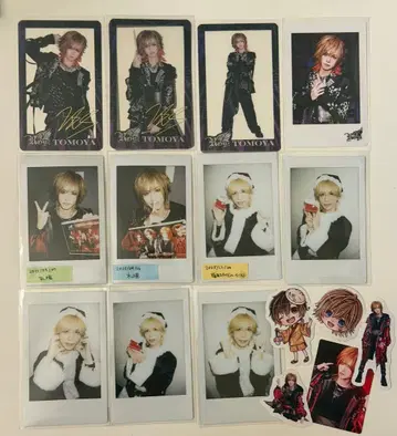 Royz 토모야 세트