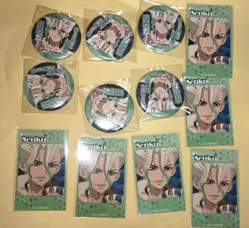 dr.stone 이시가미 센쿠 캔뱃지 미니 사진 세트