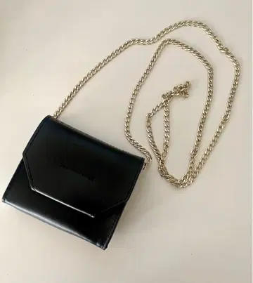 개럴개런트 나노 숄더 미니 백 파우치