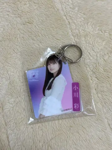 오가와 아야 아크릴 키링 신참자