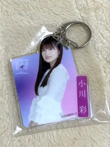 오가와 아야 아크릴 키링 신참자