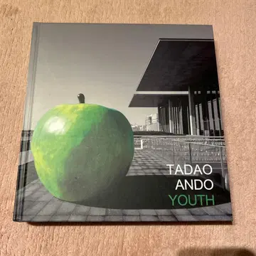 안도 타다오 TADAO ANDO YOUTH 친필 드로잉 포함