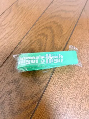 싱어즈 하이 러버 밴드 (미사용)