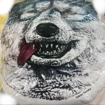 제일복권 MAN WITH A MISSION C상 페이스 쿠션