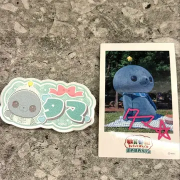 교육 방송 호메호메 카페 명찰풍 배지 타마