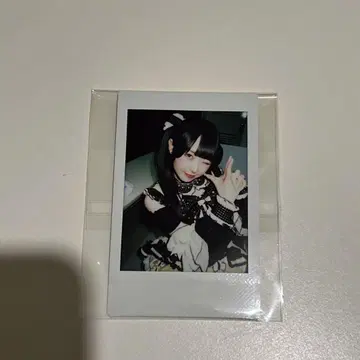 큐루링 해봐 시마무라 우타 폴라로이드 리리이베