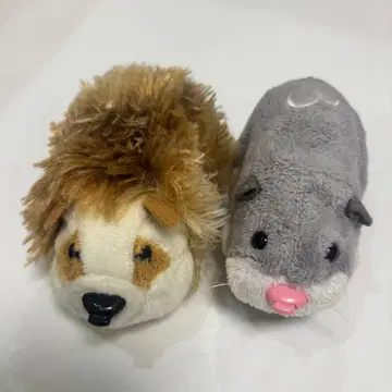 주주펫 햄스터 & 고슴도치