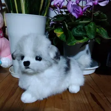 리얼 애니멀 시츄 봉제 인형