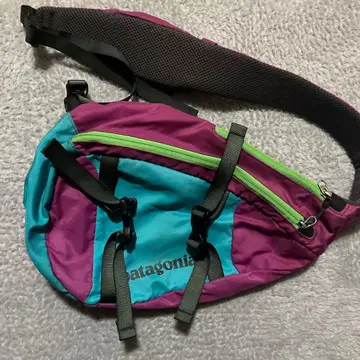 patagonia 바디백 숄더백