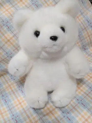 큐트 판매 곰 봉제 인형 SS 사이즈