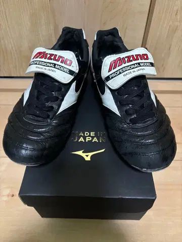 모렐리아 2 JAPAN