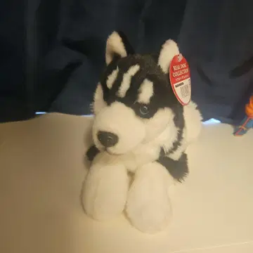 리얼 도그 컬렉션 시베리안 허스키 봉제 인형 레가로 허스키