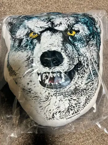 MAN WITH A MISSION 제일복권 D Kamikaze Boy