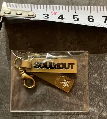 SOUL'd OUT 키링 레어 Diggy