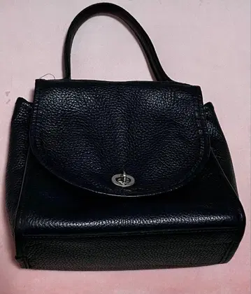 마린데이 MARINEDAY 슈링크 가죽 핸드백 블랙