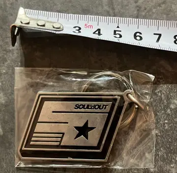 SOUL'd OUT 키링 레어 Diggy