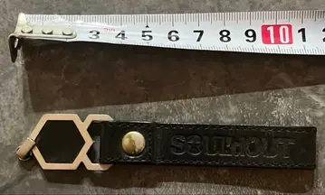 SOUL'd OUT 키링 레어 Diggy