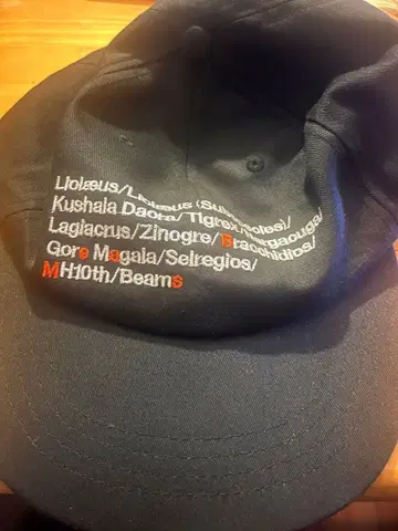 Monster Hunter 10주년 기념 모자