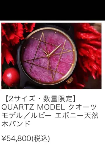 NOZ 시계 루비 42mm