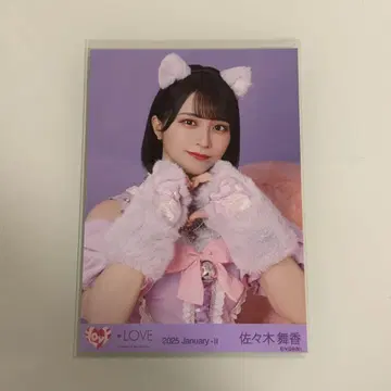 사사키 마이카 고양이 브로마이드