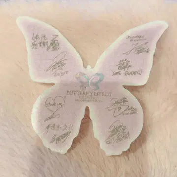 FANTASTICS 낙하물 나비