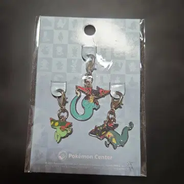 포켓몬 전국 도감 메탈 참 드라메시야 드론치 드라파르트