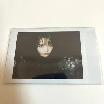 후르츠 지퍼 진세이 스즈카 폴라로이드