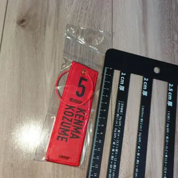 하이큐 코즈메 켄마 쓰레기장의 결전전 플라이트 택 키링