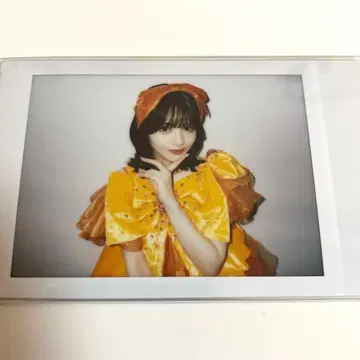 후르츠 지퍼 진세이 스즈카 폴라로이드