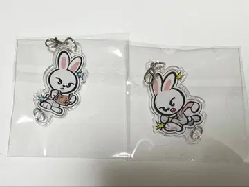 리비트 스키즈 Stray Kids 전시회 아크릴 키링