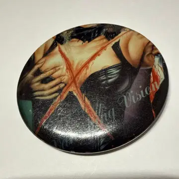 XVanishingVision 핀 배지