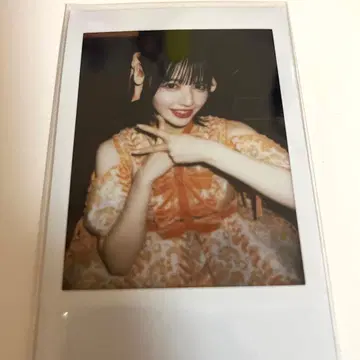 후르츠 지퍼 진세이 스즈카 폴라로이드