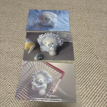 [내일 발송] 조세마루