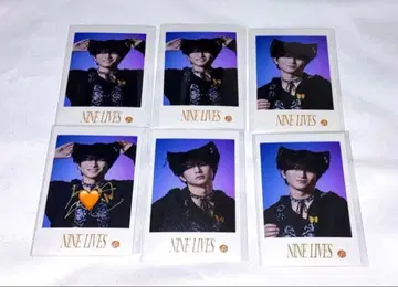 초특급 카시와기 유 하루 미니 포토 브로마이드 사인 NINE LIVES