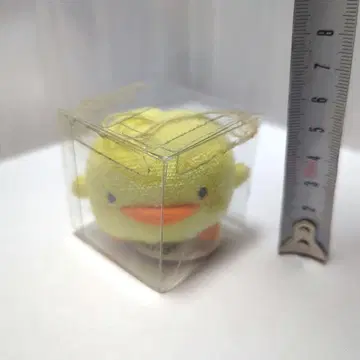 삐요짱 마더구스 숲