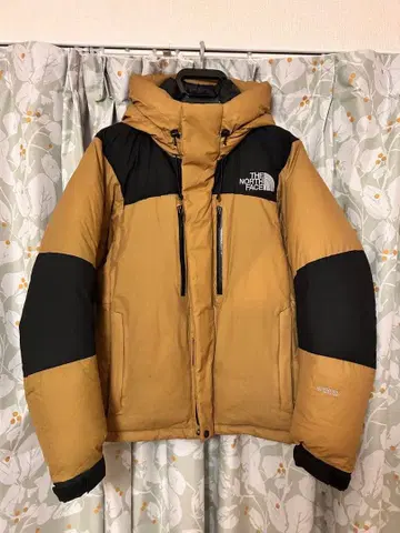 THE NORTH FACE 바르톨로 L 사이즈