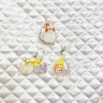 유토리야 DMM 스크래치