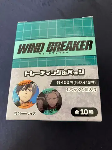 WIND BREAKER 트레이딩 캔뱃지 1BOX