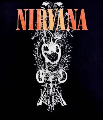 NIRVANA 1992GIG JAPANTOUR 'DEADSTOCK'TEE