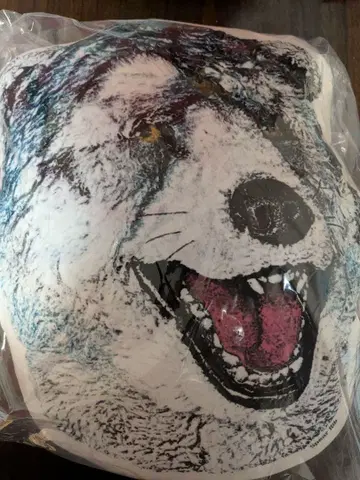 제일복권 MAN WITH A MISSION G상 페이스 쿠션