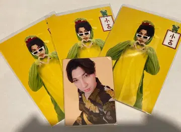 [낱개 판매 가능] 니시코리 설날 여름방학 브로마이드 트레이딩 카드