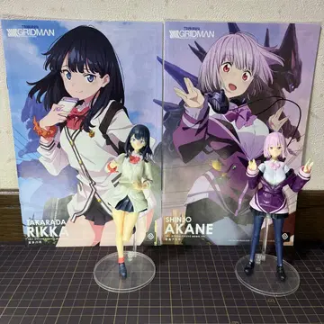 신죠 아카네, 타카라다 릿카 프라모델 2개 세트