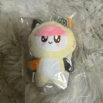 SEVENTEEN 봉봉이 고양이 인형옷