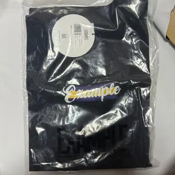 [미사용품 택 포함] EXAMPLE MFCstore 로고T셔츠 블랙 XL