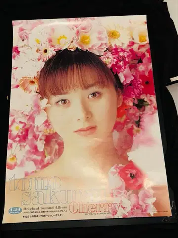 사쿠라이 토모 cherry 포스터 B2 사이즈