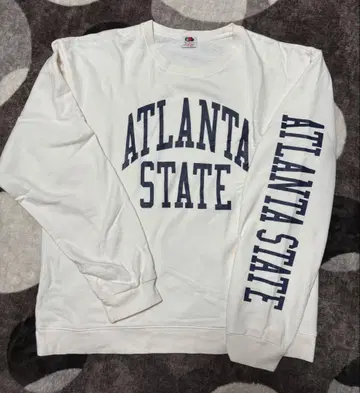 FRUIT OF THE LOOM 프린트 맨투맨 L