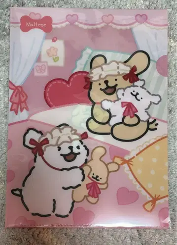 몰티즈 Maltese 클리어 파일 POPUP