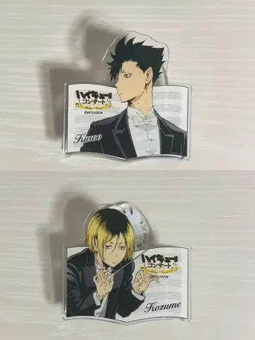 하이큐 콘서트 쿠로오 코즈메