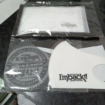 야자와 에이요시 패션 마스크