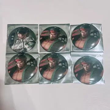 진 삼국무쌍 ORIGINS 조운 장비 세트